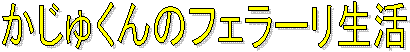 �����キ��̃t�F���[������